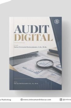 Audit Digital
